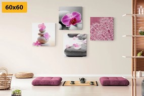 Set tablouri natura moartă Zen