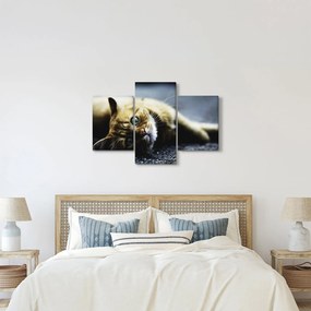 Tablou cu pisica (90x60 cm)