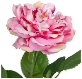 Plantă artificială (înălțime 43 cm) Rose – Ixia
