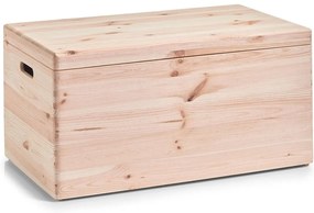 Cutie de depozitare cu capac, Zeller, 58 l