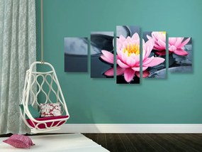 Tablou 5-piese floare de lotus în lac