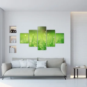 Tablou - roua pe iarbă (125x70 cm), în 40 de alte dimensiuni noi