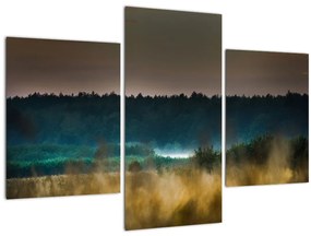 Tablou - Peisaj de munte (90x60 cm)