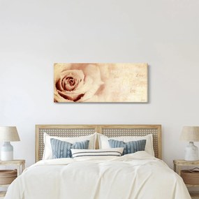 Tablou - floare de trandafir pentru îndrăgostiți (120x50 cm)
