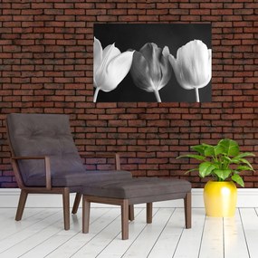 Tablou - Lalele alb negre (90x60 cm)