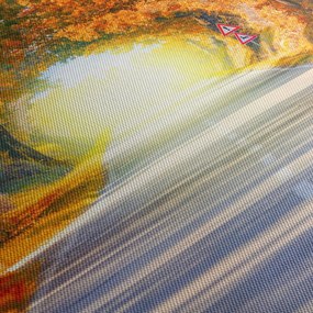 Tablou - Poarta din copaci (150x105 cm)