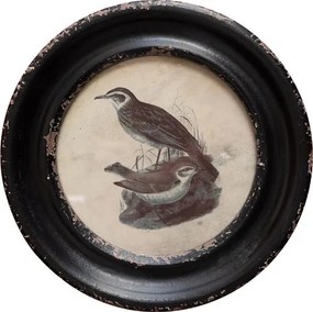 Tablou decorativ, cu rama din lemn de pin, aspect vintage, Turtledoves III