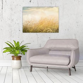 Tablou - Câmp toamna (70x50 cm)