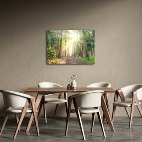 Tablou - Poteci în pădure (70x50 cm)