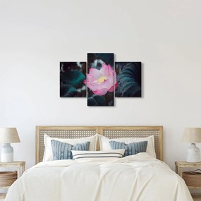 Tablou cu floare roz (90x60 cm)