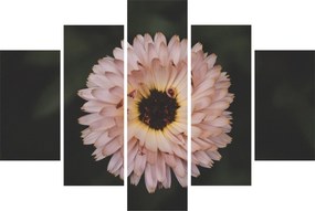 Tablou cu floare portocalie (150x105 cm)