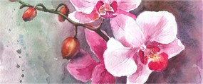 Tablou - Orhidee, acvariu (120x50 cm)