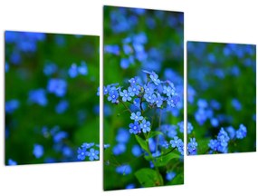 Tablou cu flori albastre (90x60 cm)