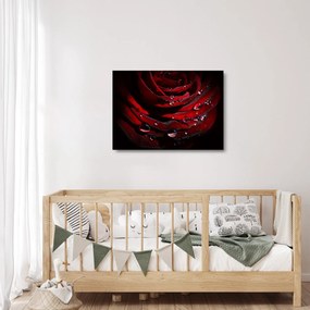 Tablou pe sticlă - Trandafir (70x50 cm)