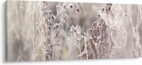 Tablou - Plante (120x50 cm)