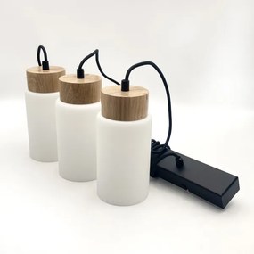 Lustră cu cablu MARKUS 3xE27/15W/230V negru/stejar