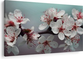 Tablou cu floare - roșie (90x60 cm)