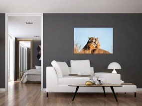 Tablou - Tigroaica cu pui (90x60 cm)
