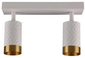 Spot ARRAS 2xGU10/10W/230V alb