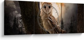 Tablou cu bufnița (cu ceas) (90x30 cm)