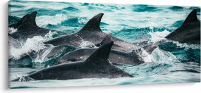 Tablou - Delfini în ocean (120x50 cm)