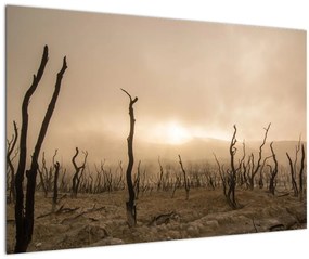 Tablou - Copaci goi (90x60 cm)