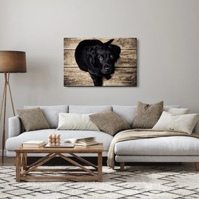Tablou cu cățeluș negru (90x60 cm)