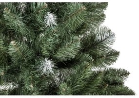 Pom de Crăciun POLA 180 cm pin