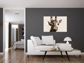 Tablou - Portret de girafă, de epocă (90x60 cm)