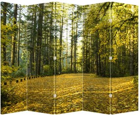 Paravan - Pădurea toamna (210x170 cm)