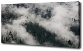 Pictură pe pânză Ceață peste pădure