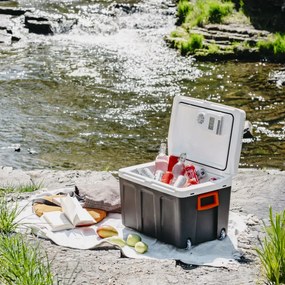 Lada frigorifica Adler AD 8090, 40 l, 58 W, 12/220/240V, Clasa climatica N, Izolatie C5H10, Gri