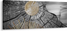 Tablou - Trunchiul copacului colaj (120x50 cm)