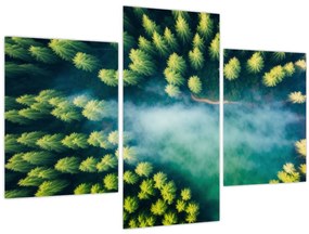 Tablou - O pădure învăluită în ceață (90x60 cm)