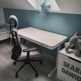 Scaun rotativ ergonomic de birou Ergomax gri deschis