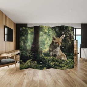 Paravan - Vulpe (210x170 cm)