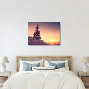 Tablou cu copac înzăpezit pe luncă (70x50 cm)