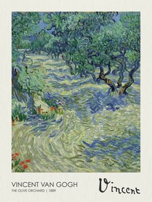 Reproducere Olive Orchard (1889)