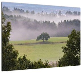 Tablou - Lunca cu copac (70x50 cm)