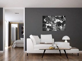 Tablou - Pânza de păianjen în pajiște (90x60 cm)