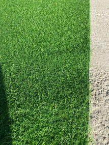 Gazon artificial / covor iarba decorativa verde Leisure, inaltime fir 15 mm, cu micro orificii pentru scurgere a apei, pentru interior/exterior, dimensiuni variate