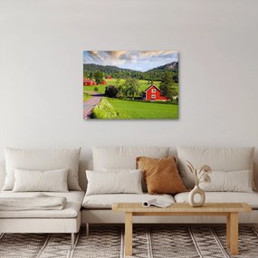 Tabloul cu țară (70x50 cm)