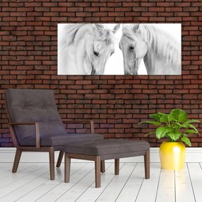 Tabou - Cai albi (120x50 cm)