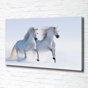 Print pe canvas Doi cai în zăpadă