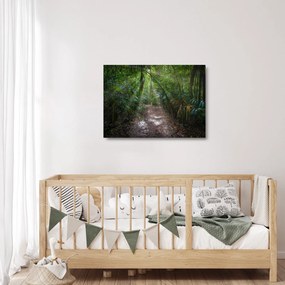 Tablou pe sticlă - Razele solare în junglă (70x50 cm)