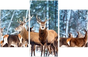 Tablou - Turma de căprioare (90x60 cm)
