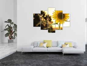 Tablou cu floarea soarelui (150x105 cm)