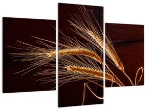 Tablou - Spic în prim plan (90x60 cm)