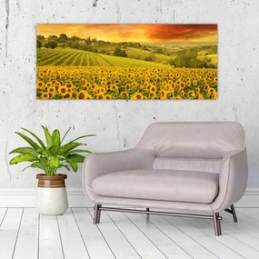 Tablou - Câmp de floarea-soarelui (120x50 cm)