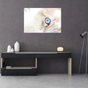 Tablou - Pisicuță (90x60 cm)